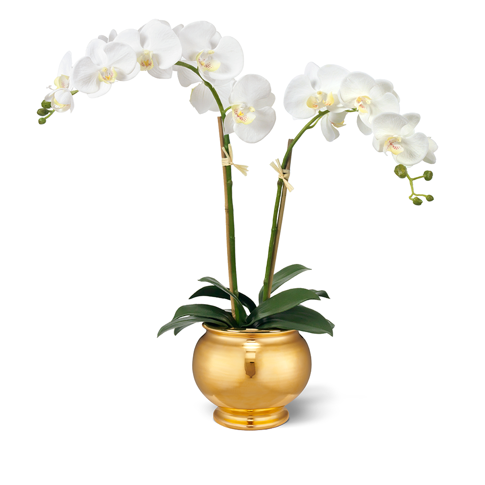 White Orchid in Siena Cachepot, Gold- Diane James Home | Faux Floral Couture Handmade In The USA