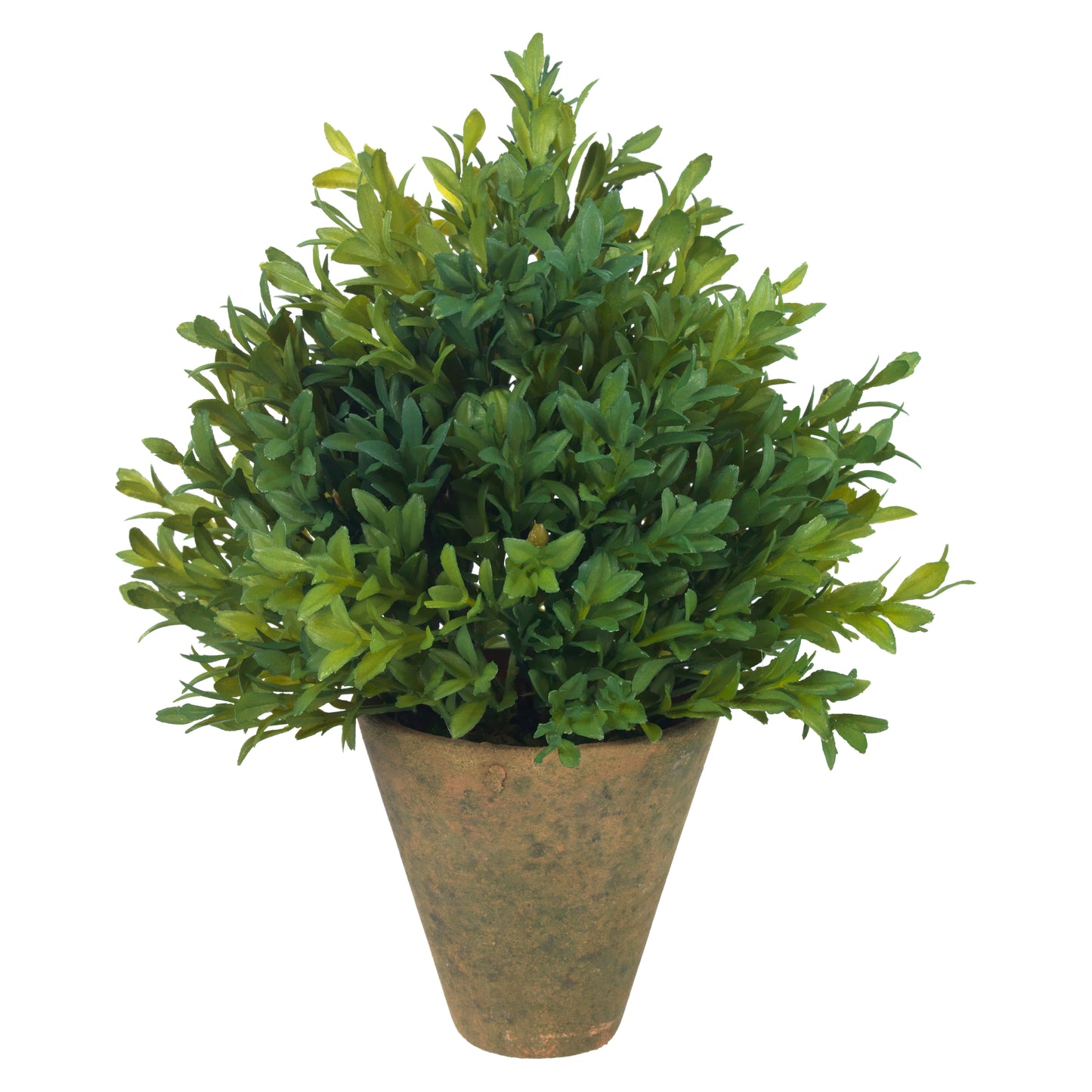 Boxwood Bliss- Diane James Home | Faux Floral Couture Handmade In The USA