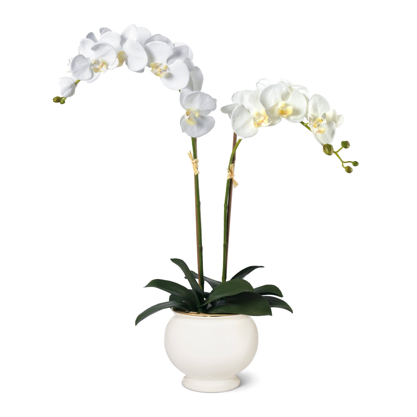 White Orchid in Siena Cachepot- Diane James Home | Faux Floral Couture Handmade In The USA