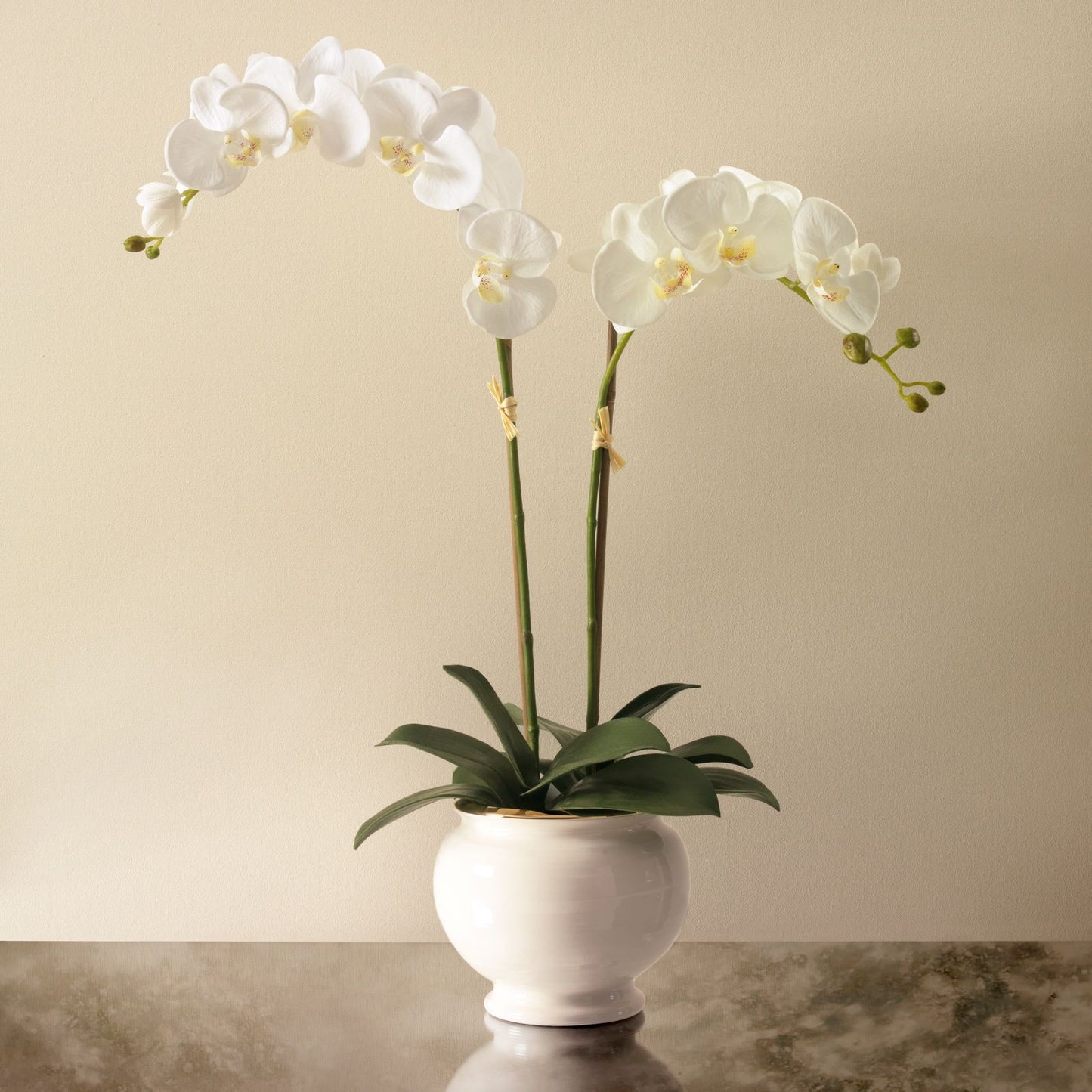 White Orchid in Siena Cachepot- Diane James Home | Faux Floral Couture Handmade In The USA