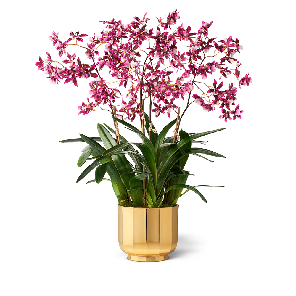 Purple Dancing Orchids in Large Delmara Cachepot, Gold- Diane James Home | Faux Floral Couture Handmade In The USA