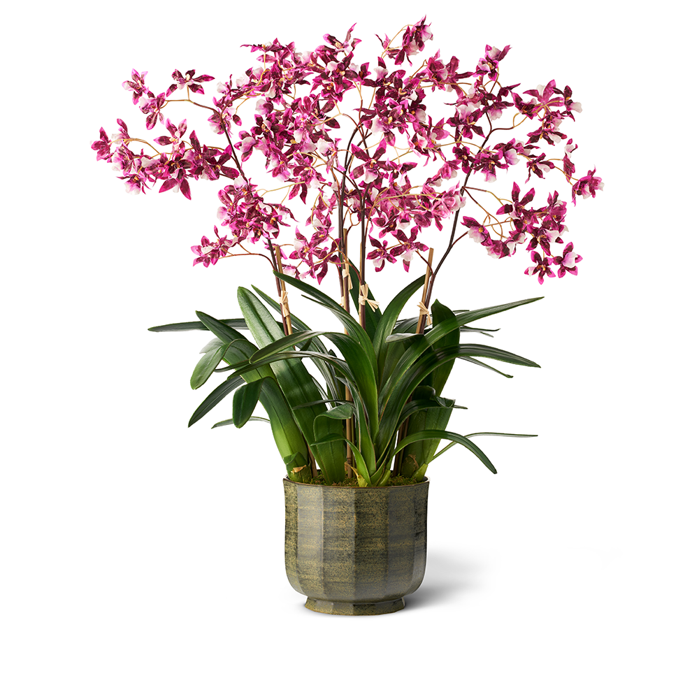 Purple Dancing Orchids in Large Delmara Cachepot, Cedar- Diane James Home | Faux Floral Couture Handmade In The USA