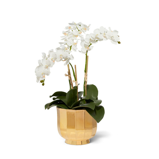 Small White Phalaenopsis Orchids in Delmara Cachepot, Gold- Diane James Home | Faux Floral Couture Handmade In The USA