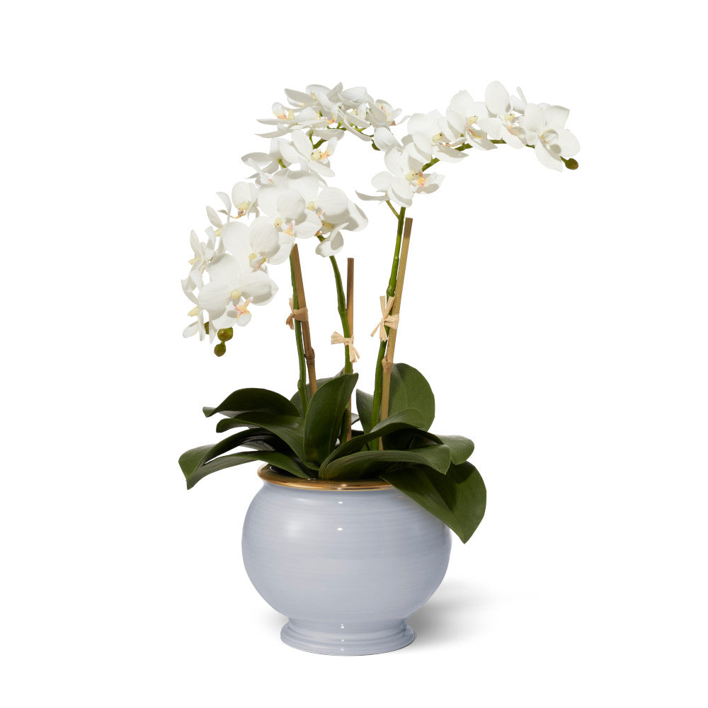 Small White Phalaenopsis Orchids in Siena Cachepot, Blue Haze- Diane James Home | Faux Floral Couture Handmade In The USA