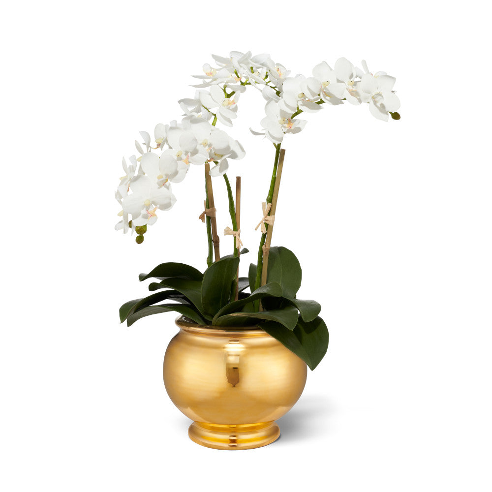 Small White Phalaenopsis Orchids in Siena Cachepot, Gold- Diane James Home | Faux Floral Couture Handmade In The USA