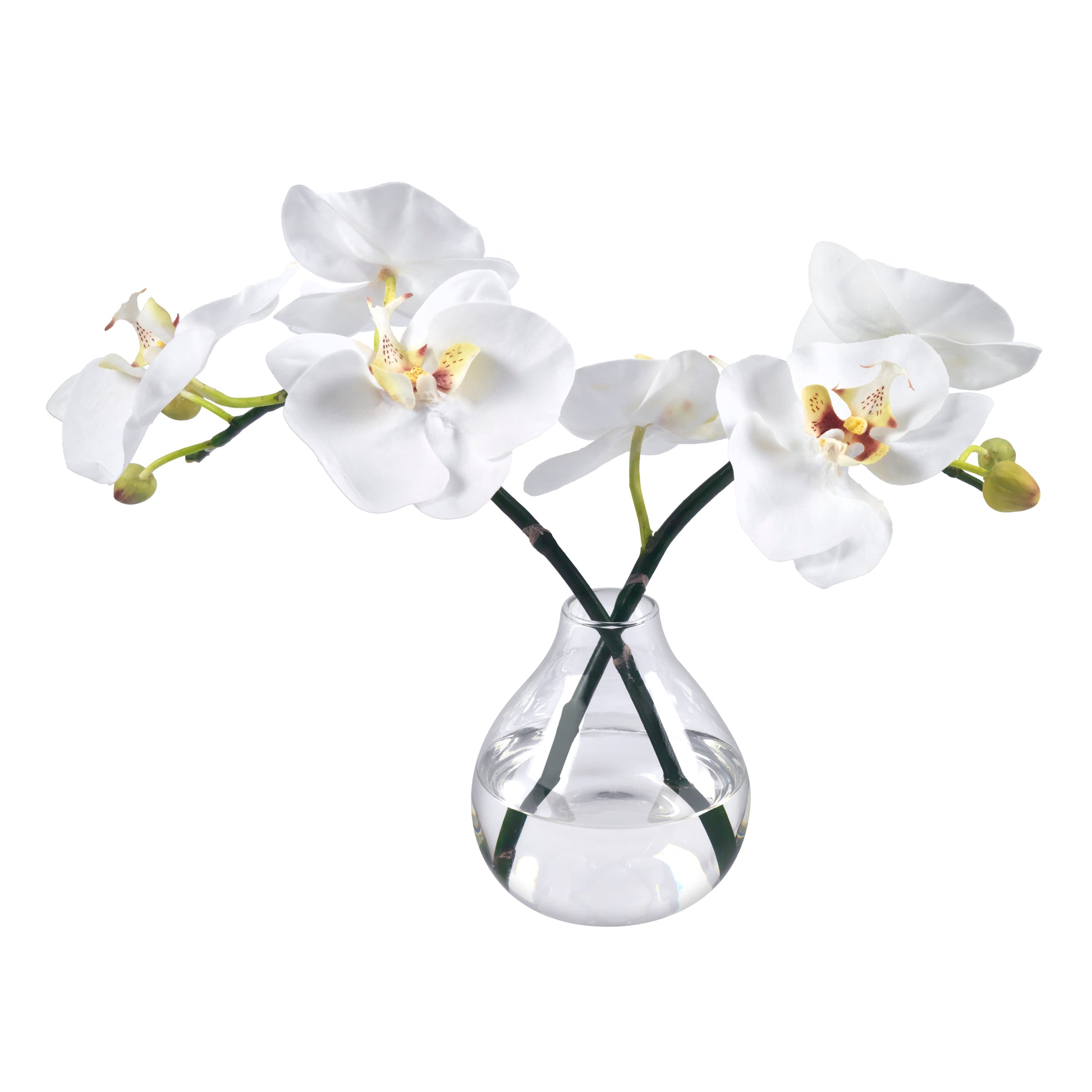 Orchid Blossoms in Glass Bud Vase- Diane James Home | Faux Floral Couture Handmade In The USA