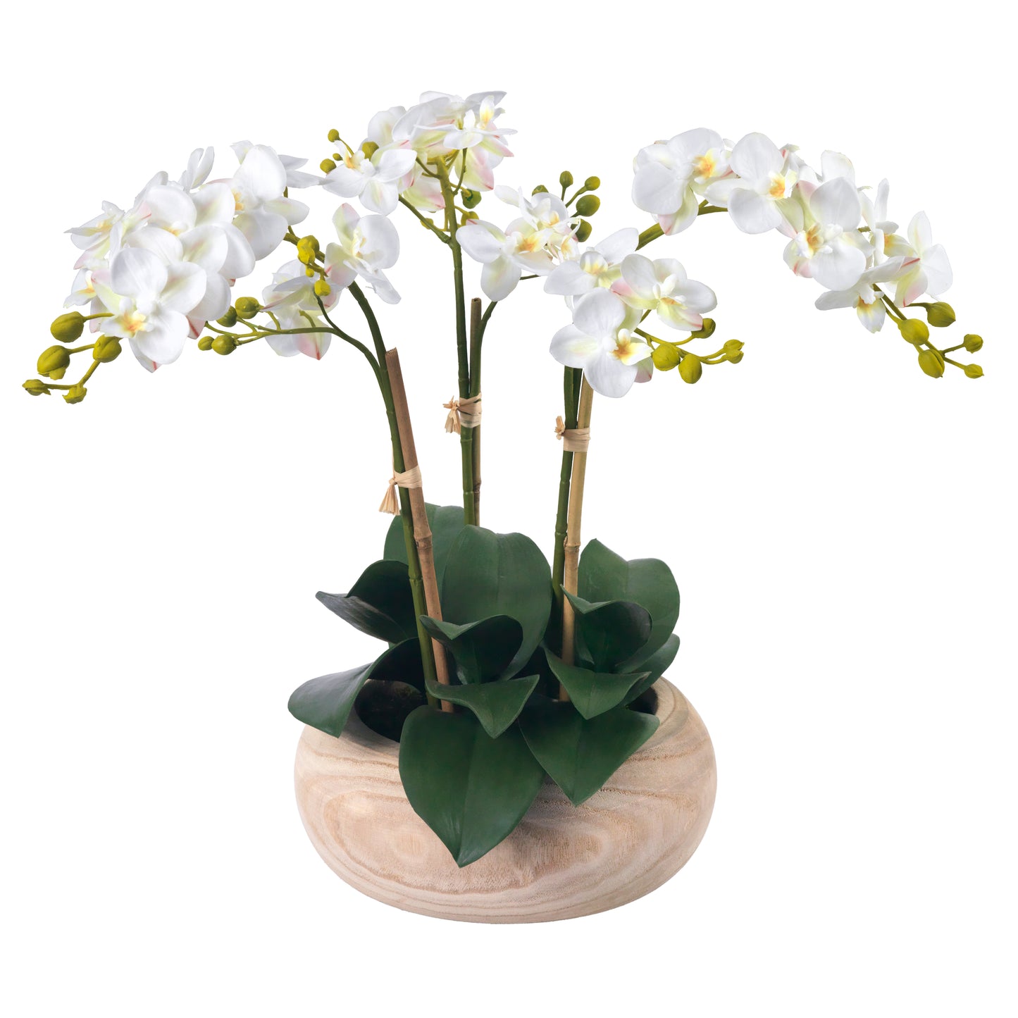 Phalaenopsis Orchids in Wood Bowl- Diane James Home | Faux Floral Couture Handmade In The USA