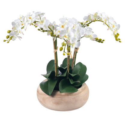 Phalaenopsis Orchids in Wood Bowl- Diane James Home | Faux Floral Couture Handmade In The USA