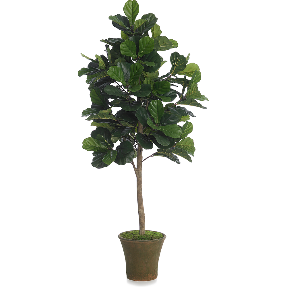 Fab Fig Tree - 6 Feet- Diane James Home | Faux Floral Couture Handmade In The USA