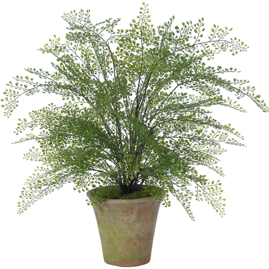 Fair Maidenhair- Diane James Home | Faux Floral Couture Handmade In The USA