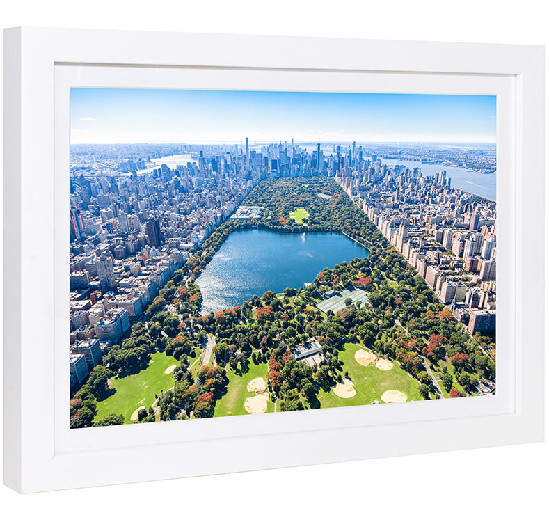 Gray Malin Central Park Mini Framed Print- Diane James Home | Faux Floral Couture Handmade In The USA