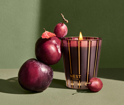 NEST Autumn Plum Classic Candle- Diane James Home | Faux Floral Couture Handmade In The USA
