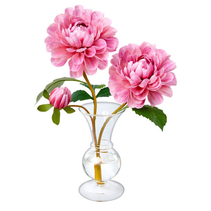 Oh My Darling by Diane James Home is composed of two pink dahlias with green leaves arranged in a clear glass vase on a white background. 