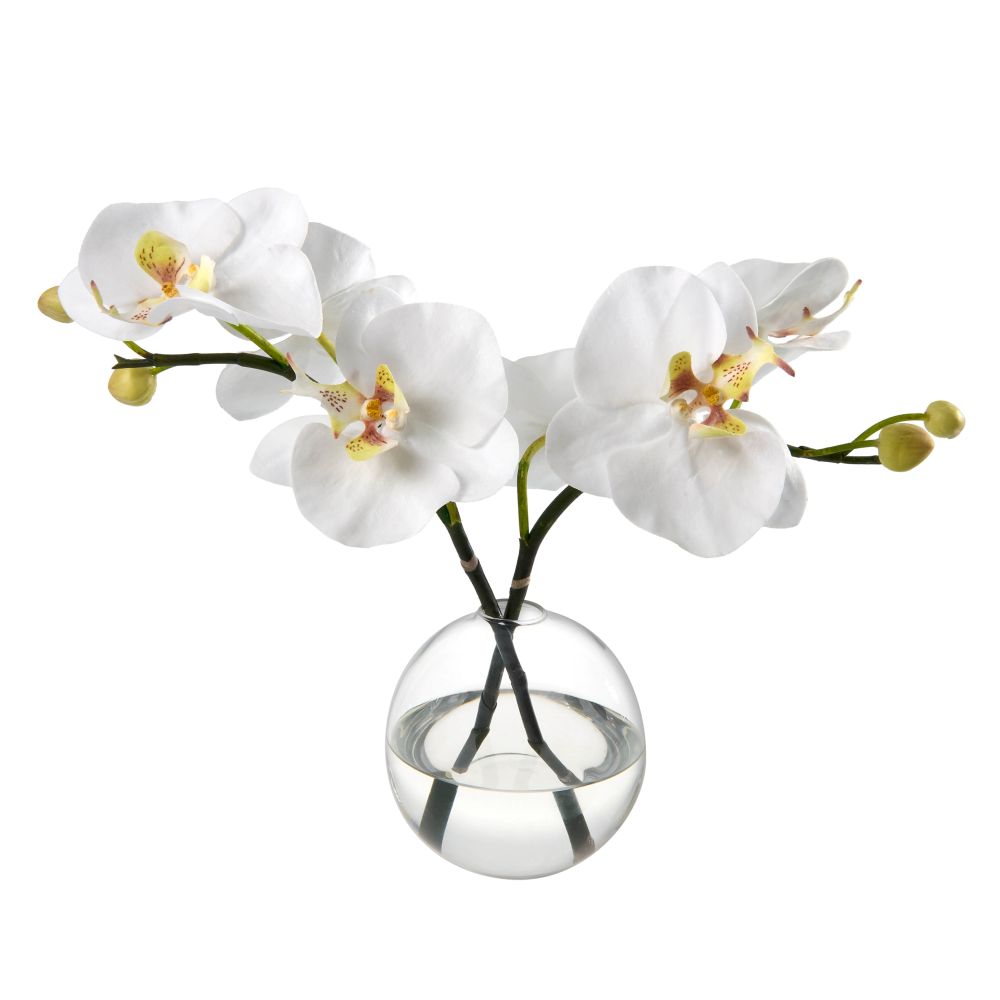 Orchid Blossoms in Glass Bud Vase- Diane James Home | Faux Floral Couture Handmade In The USA