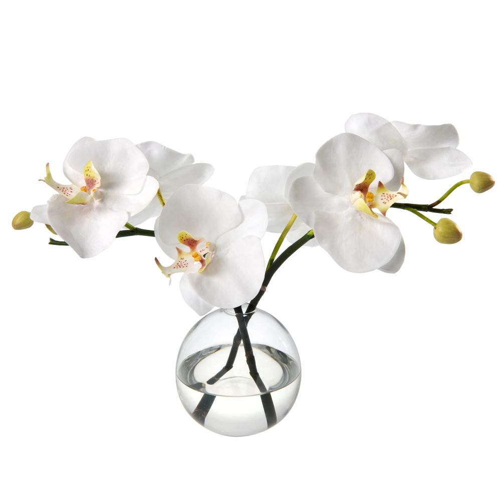 Orchid Blossoms in Glass Bud Vase- Diane James Home | Faux Floral Couture Handmade In The USA