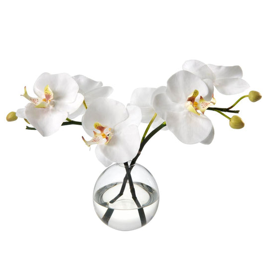 Orchid Blossoms in Glass Bud Vase- Diane James Home | Faux Floral Couture Handmade In The USA