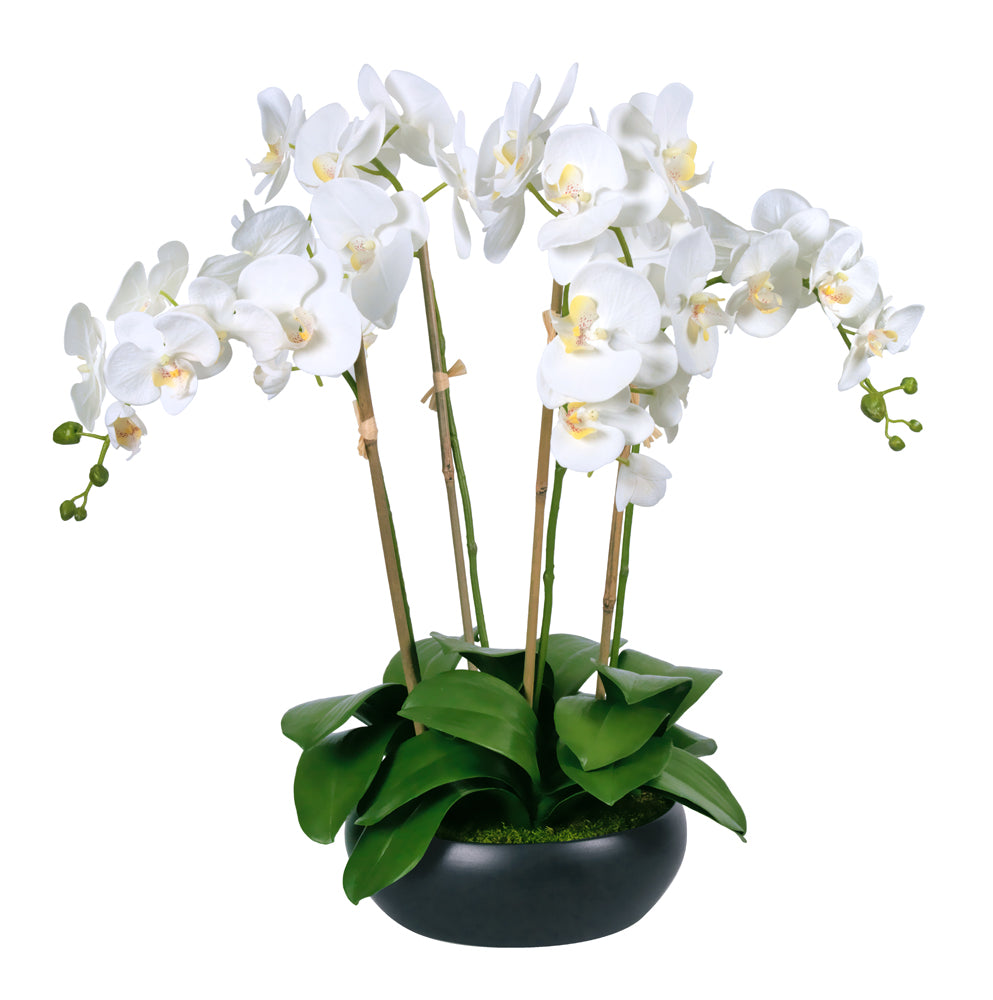 Phalaenopsis Orchids in Black Ceramic Bowl- Diane James Home | Faux Floral Couture Handmade In The USA