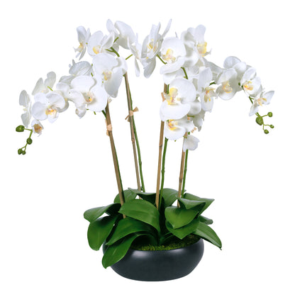 Phalaenopsis Orchids in Black Ceramic Bowl- Diane James Home | Faux Floral Couture Handmade In The USA