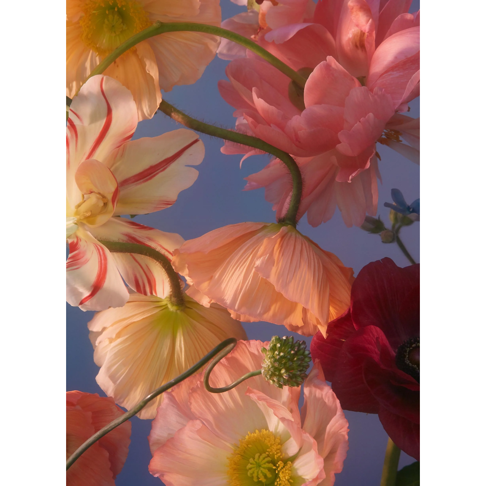 Piecework Tall Poppy Puzzle- Diane James Home | Faux Floral Couture Handmade In The USA