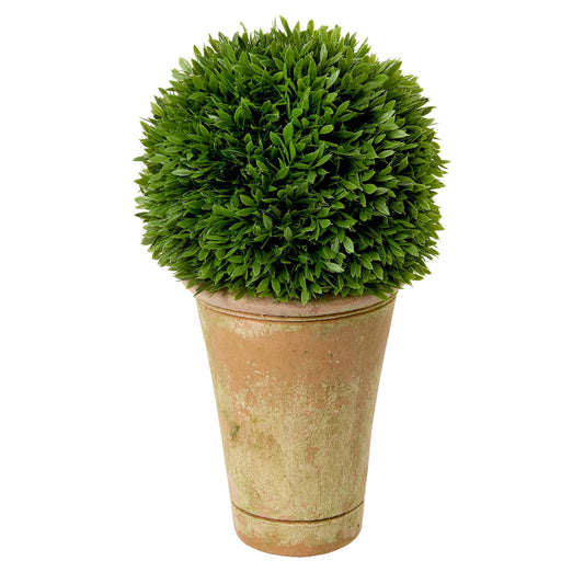 Green pom pom-shaped faux tea leaf topiary in a terracotta pot by Diane James Home on a white background