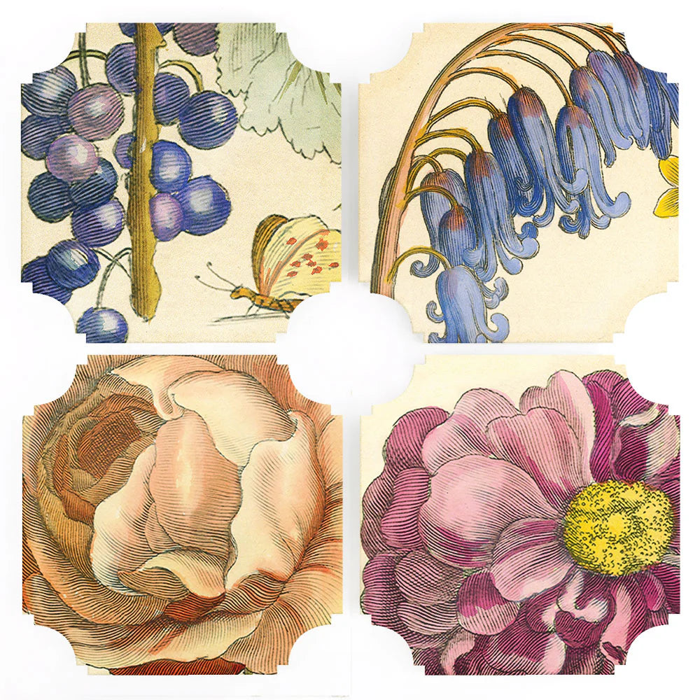 Lucite coasters with floral and fruit motifs