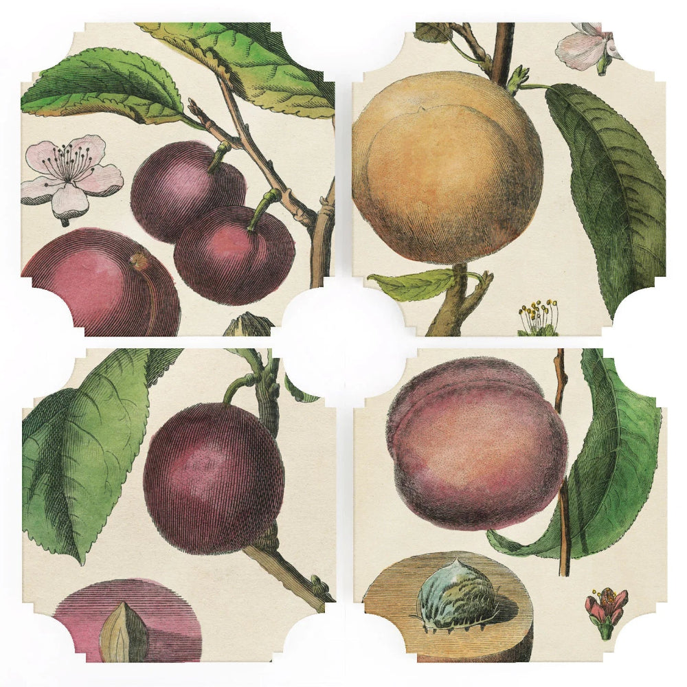 Four acrylic coasters showing peaches, leaves, blossoms, and a small seed detail on a cream background, arranged around a central white cutout area.