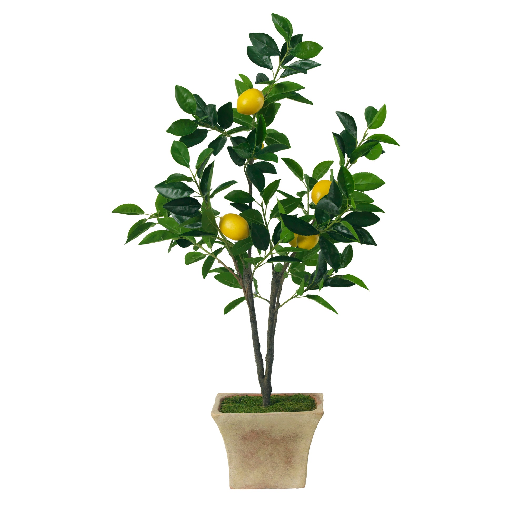 Squeeze The Day- Diane James Home | Faux Floral Couture Handmade In The USA