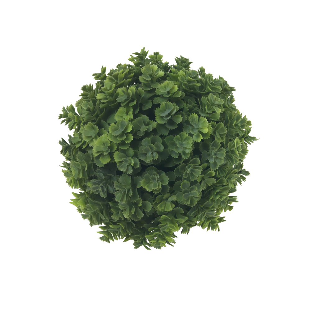 Sedum Orb, 5.5", Set of 4- Diane James Home | Faux Floral Couture Handmade In The USA