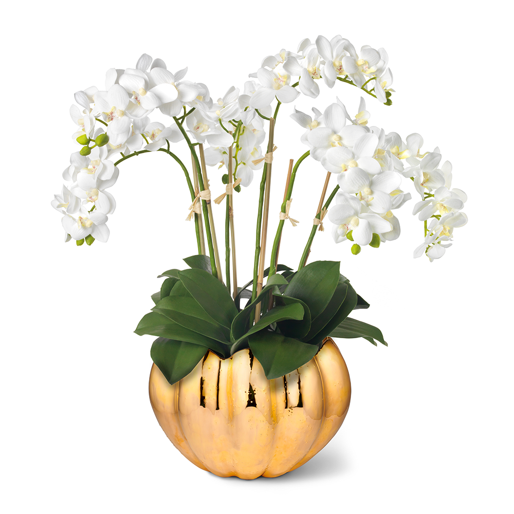 White Orchids in Mirabelle Cachepot, Gold- Diane James Home | Faux Floral Couture Handmade In The USA