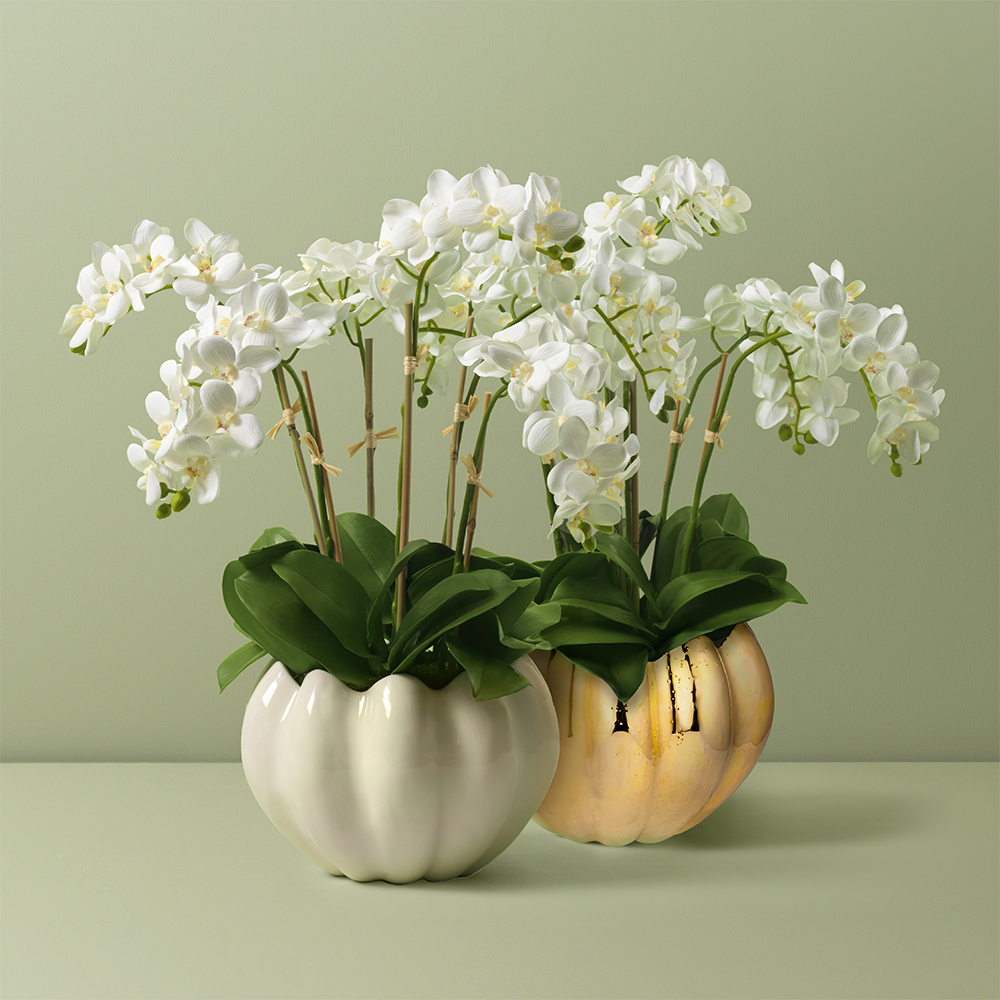 White Orchids in Mirabelle Cachepot, Gold- Diane James Home | Faux Floral Couture Handmade In The USA