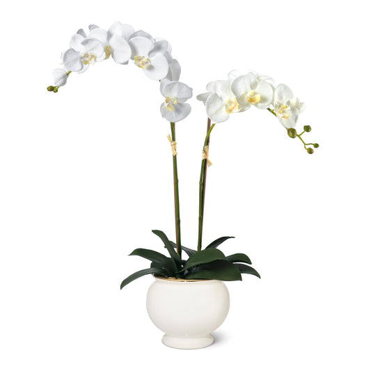 White Orchid in Siena Cachepot- Diane James Home | Faux Floral Couture Handmade In The USA